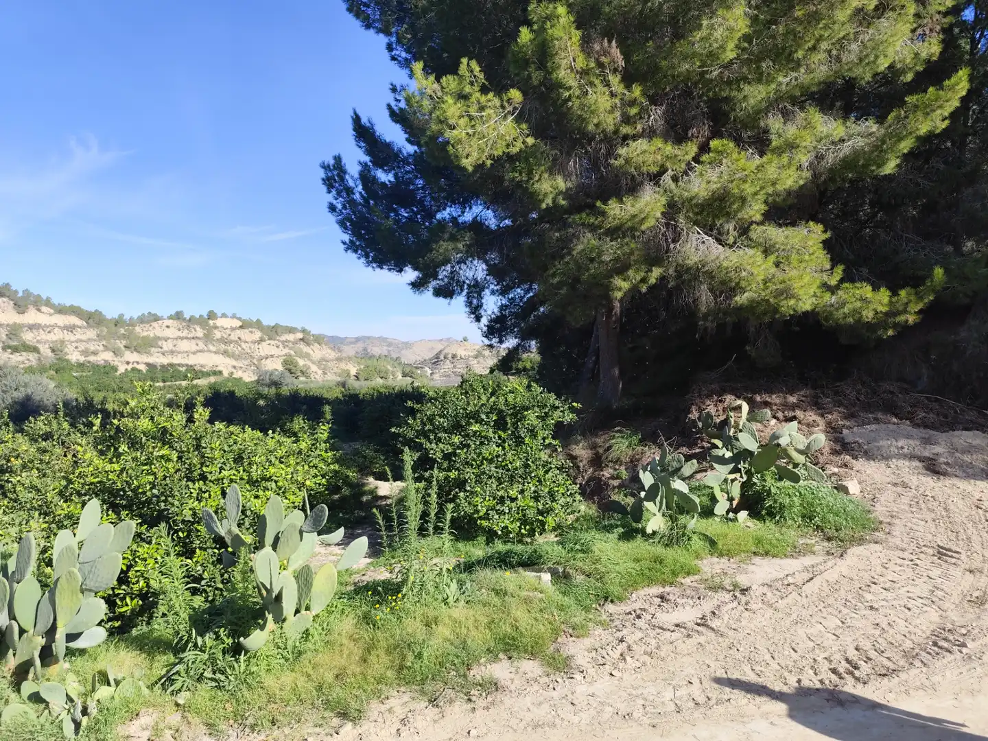 Terreny en venda en Murcia