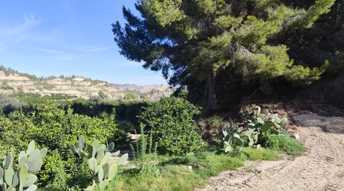 Foto 4 de Terreny en venda a N/a, -1, Algezares, Murcia Capital