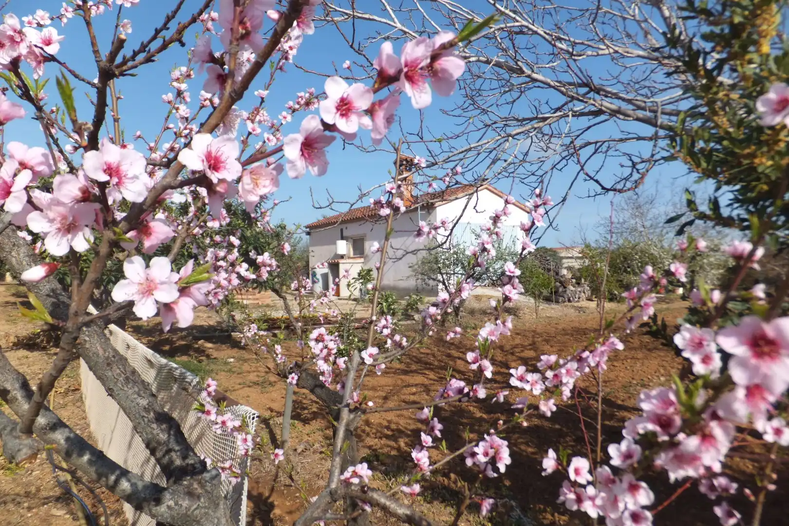 Terreno residencial en venta en Riudoms, imagen 5