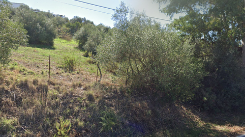 Photo 3 of Industrial land for sale in Doctor Perez Fabra, Algar, Cádiz