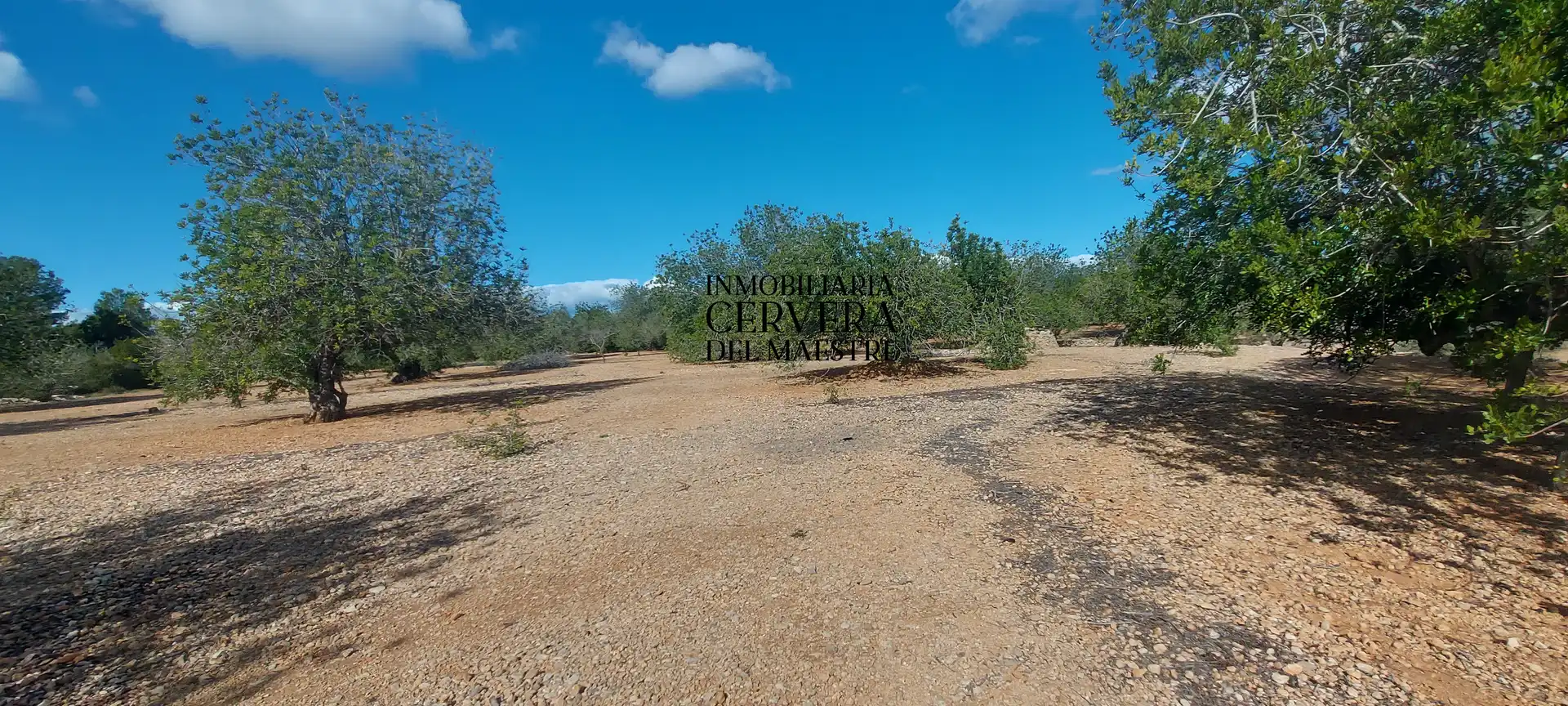 Terreno rustico in vendita a Partidas de interior - Zona Rústica, imagen 11