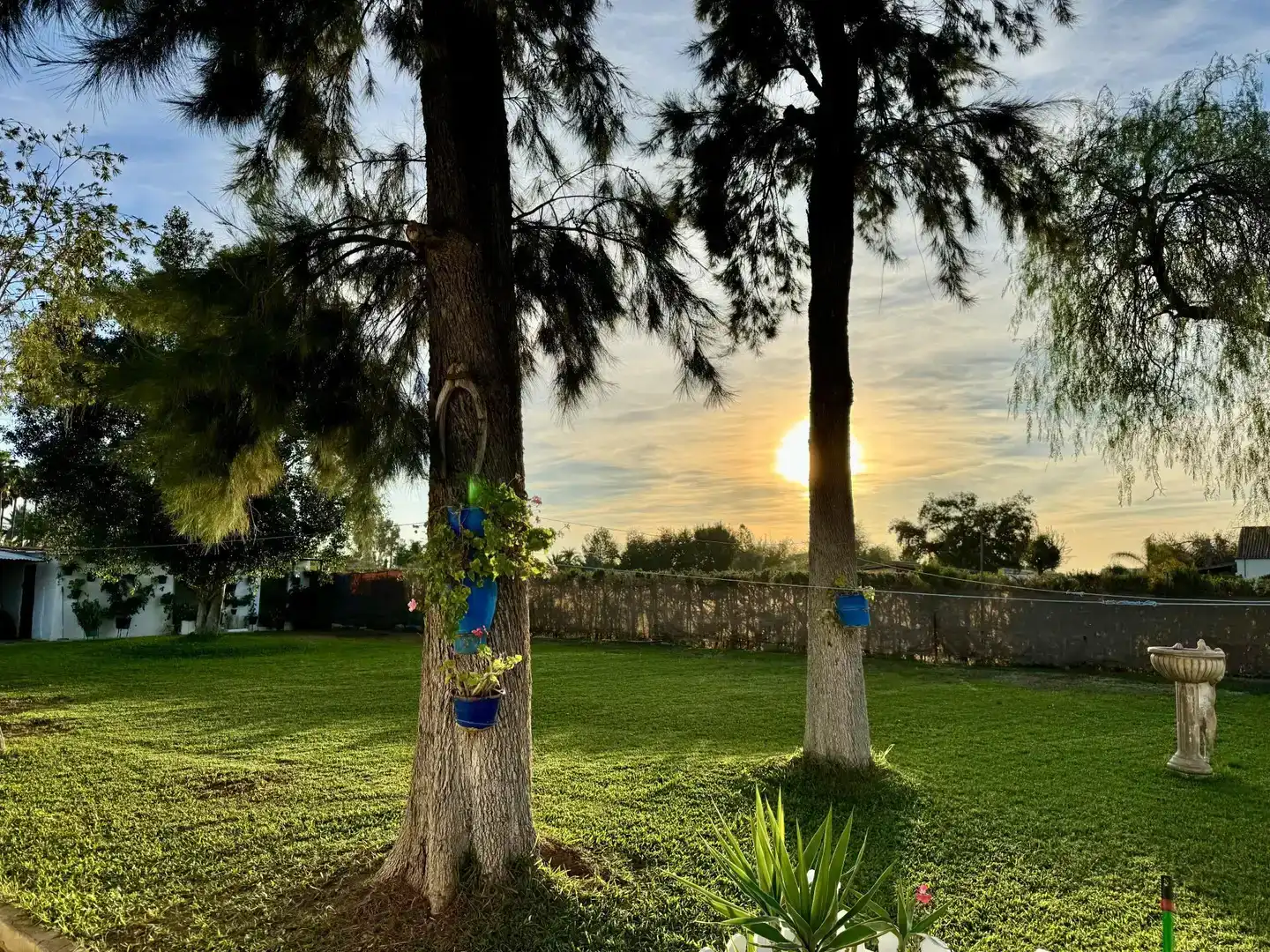 Jardí de Casa o xalet en venda en Carmona amb Aire condicionat, Jardí privat i Traster