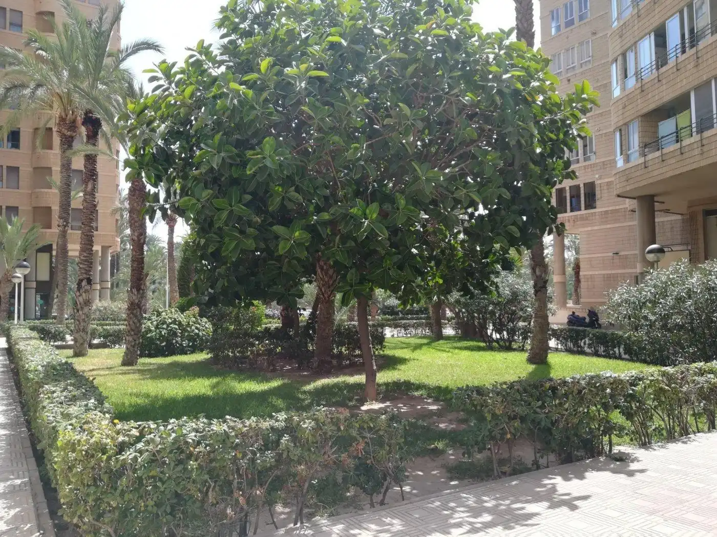 Jardín de Piso en venta en Elche / Elx con Calefacción, Jardín privado y Parquet