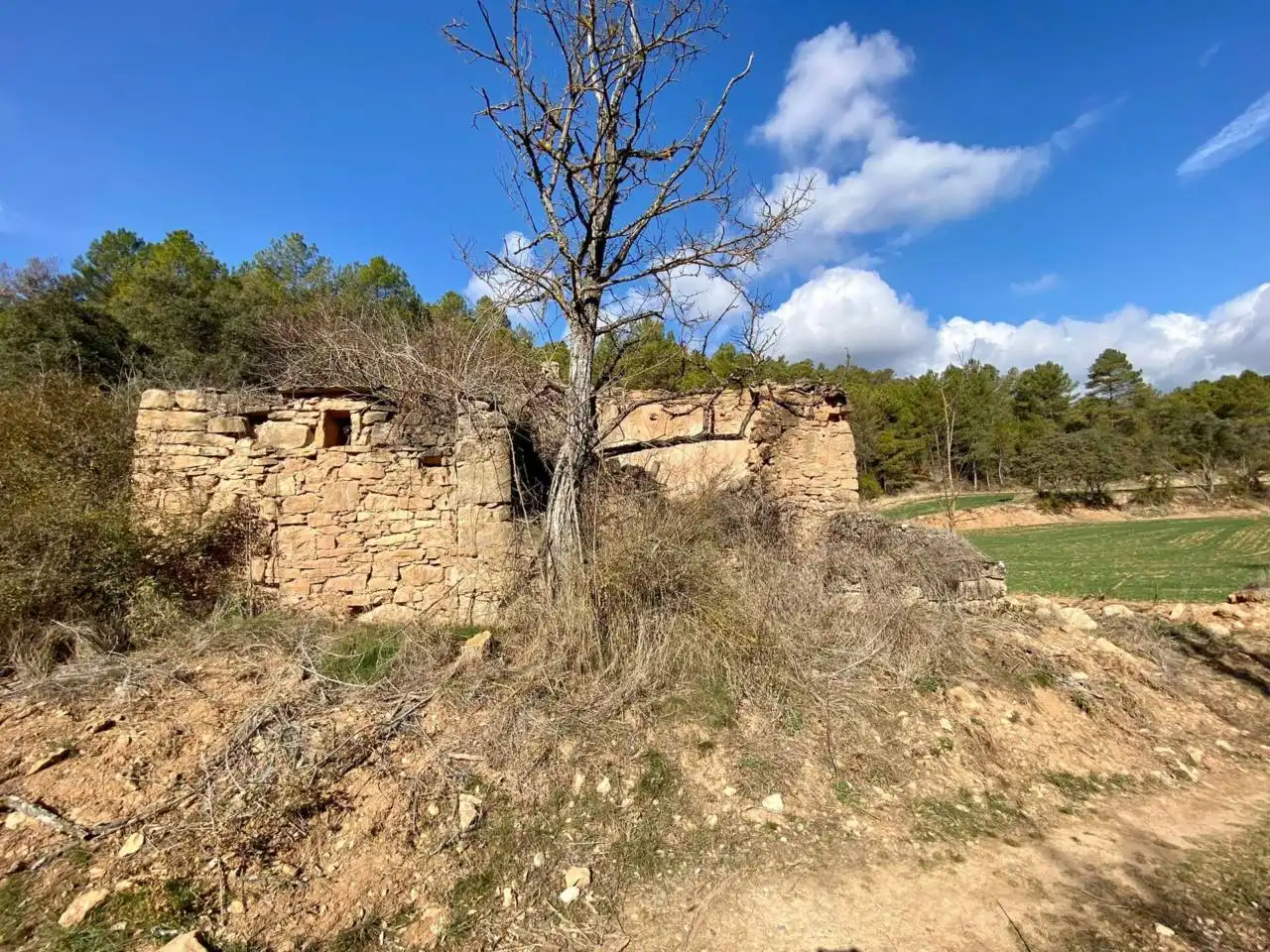 Finca rústica en venta en La Baronia de Rialb con Jardín privado