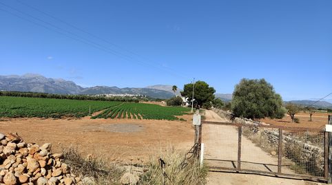 Photo 3 of Land for sale in Carrer Major, 18, Búger, Illes Balears