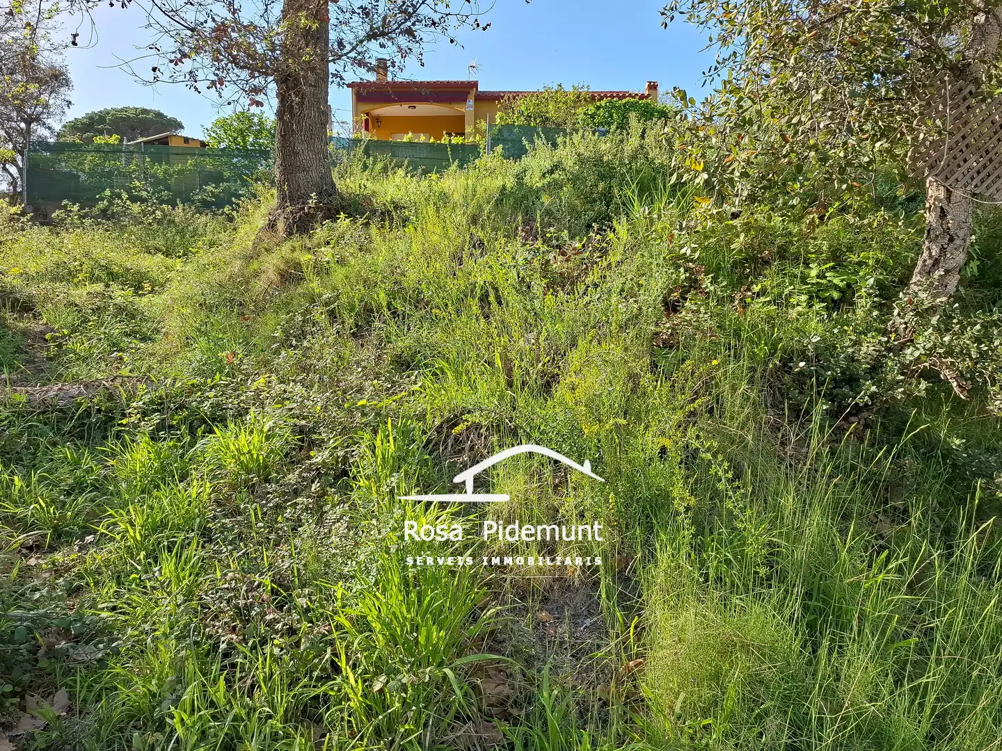 Residential land for sale in Avinguda Arbres, imagen 11