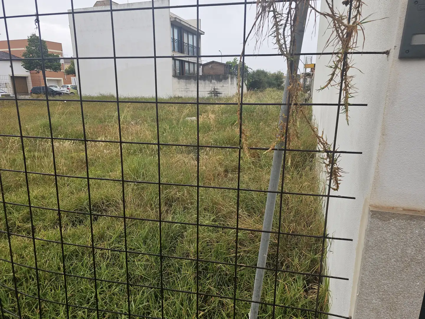 Wohnbaugrundstück zum Verkauf in Carrer de Ferriol 10, imagen 6