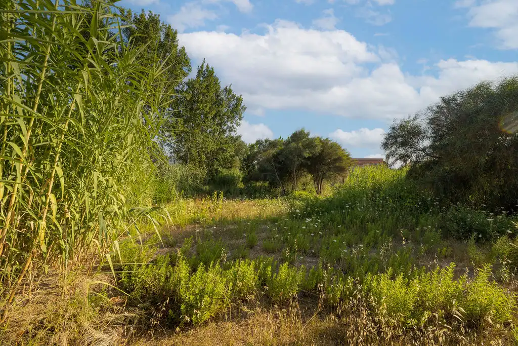 Terreno rustico in vendita a C/ Riu Senia, imagen 23