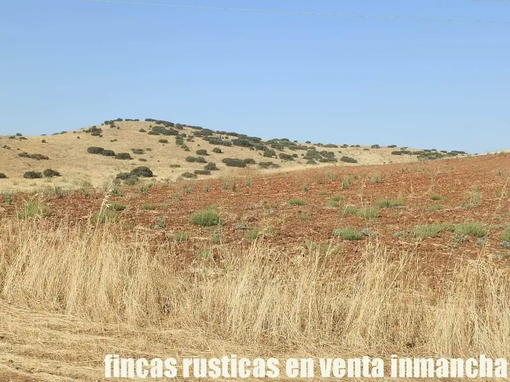 Terrenys i solars en venda a Almagro, imagen 8