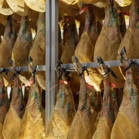 Außenansicht von Fabrikhallen zum Verkauf in Badajoz mit Alarm