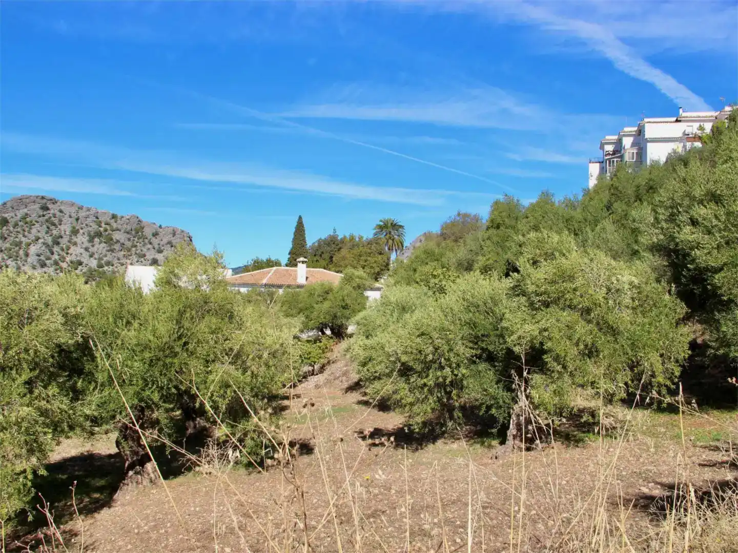 Vista exterior de Piso en venta en Benaocaz con Jardín privado, Trastero y Piscina