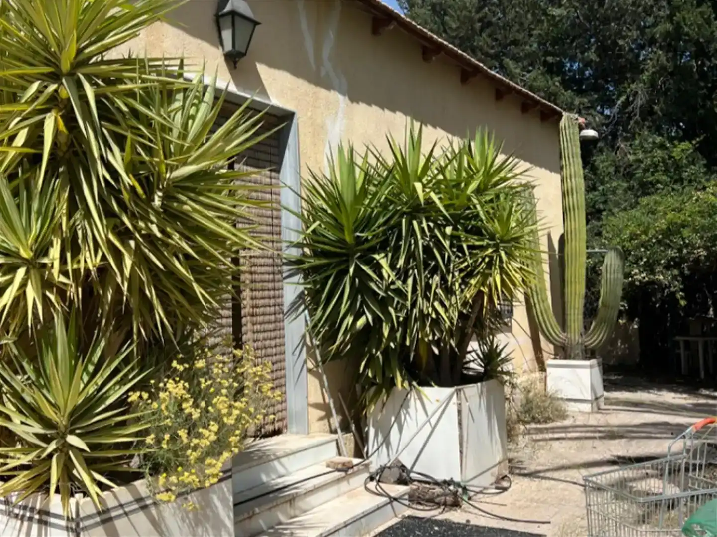 Jardí de Finca rústica en venda en Purchena amb Piscina