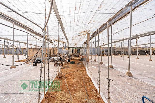 Terreno en Venta en Carretera Mojonera – Cortijos de Marín