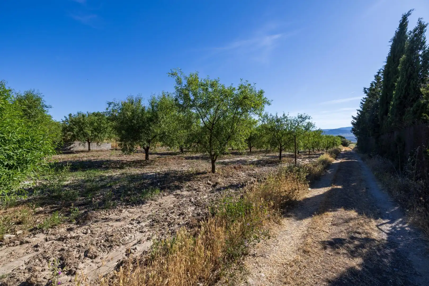 Rural land for sale in Dúrcal, imagen 9