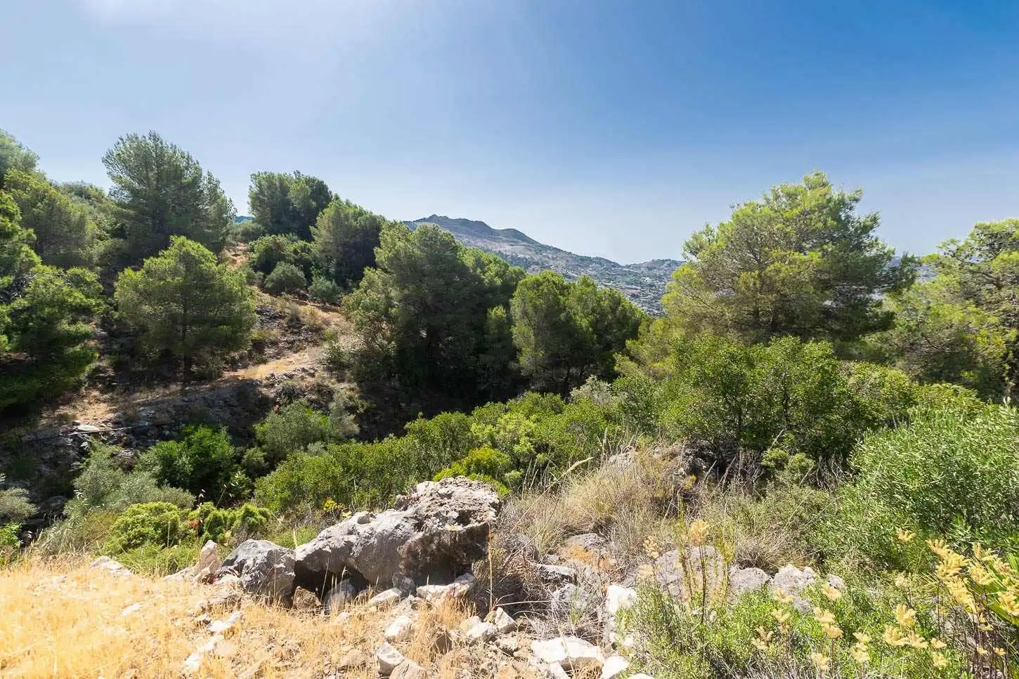 Terreny rústic en venda a Canillas de Albaida