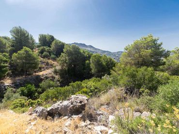 Terreny rústic en venda a Canillas de Albaida
