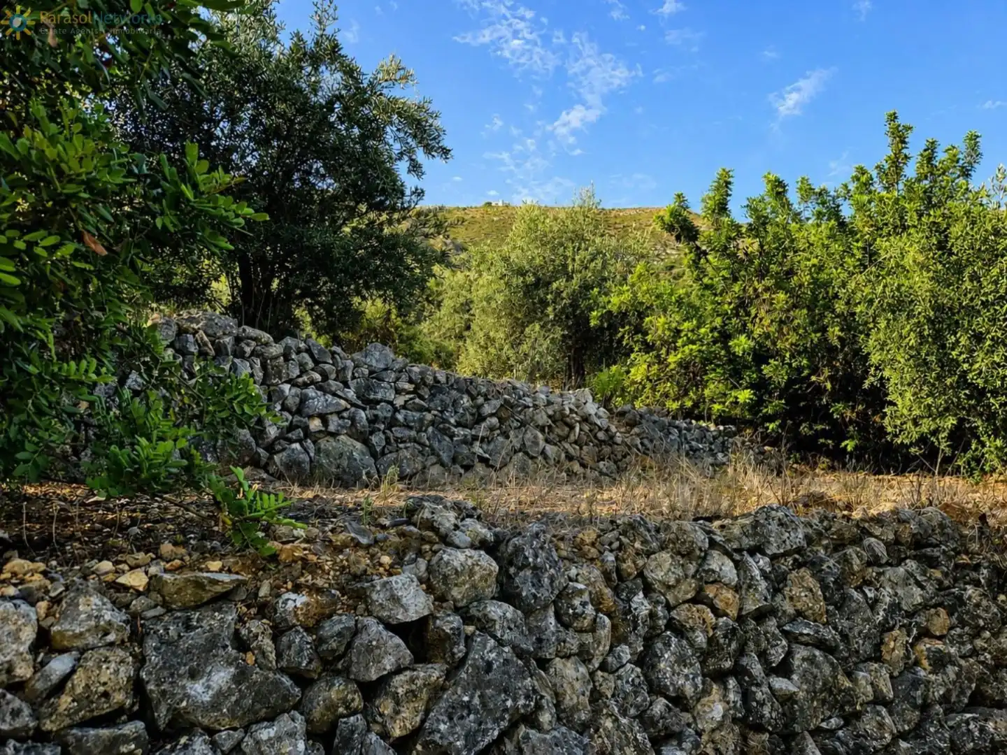Rural land for sale in L'Atzúbia, imagen 9