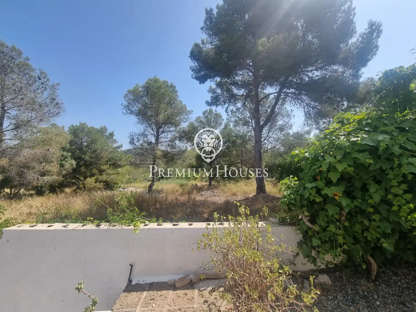 Terrain rustique à vendre à Vallpineda - Rocamar, imagen 12