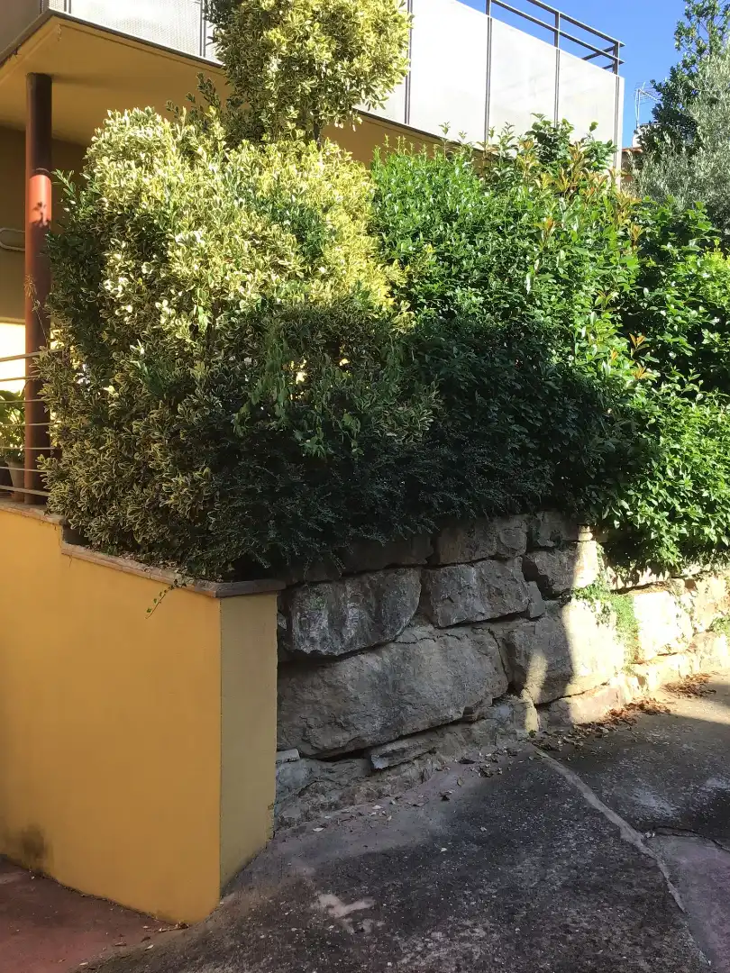 Jardín de Casa adosada en venta en Santa Coloma de Farners con Calefacción, Jardín privado y Terraza