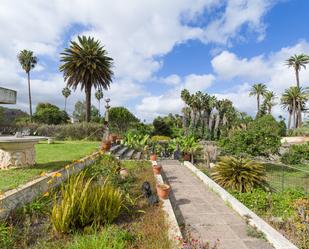 Jardí de Casa o xalet en venda en Las Palmas de Gran Canaria amb Jardí privat i Terrassa