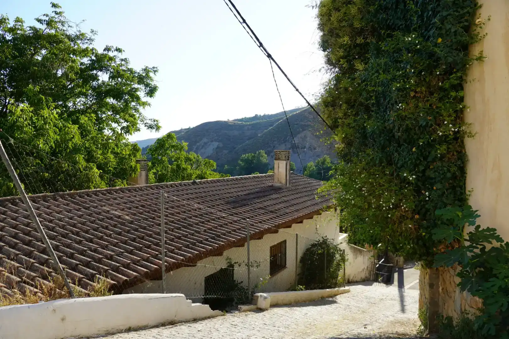 Vista exterior de Casa o xalet en venda en Quéntar