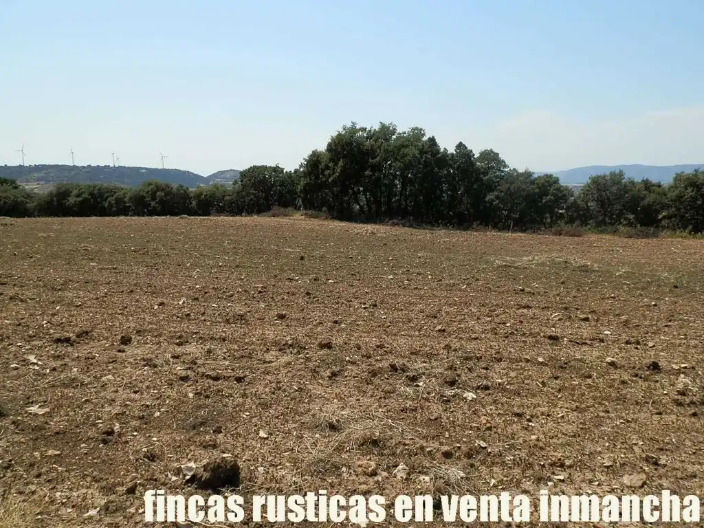 Rustikales Grundstück zum Verkauf in Alcocer, imagen 6