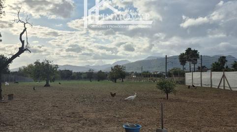 Foto 3 de Finca rústica en venda a Cristo Rey - Parque Europa, Inca