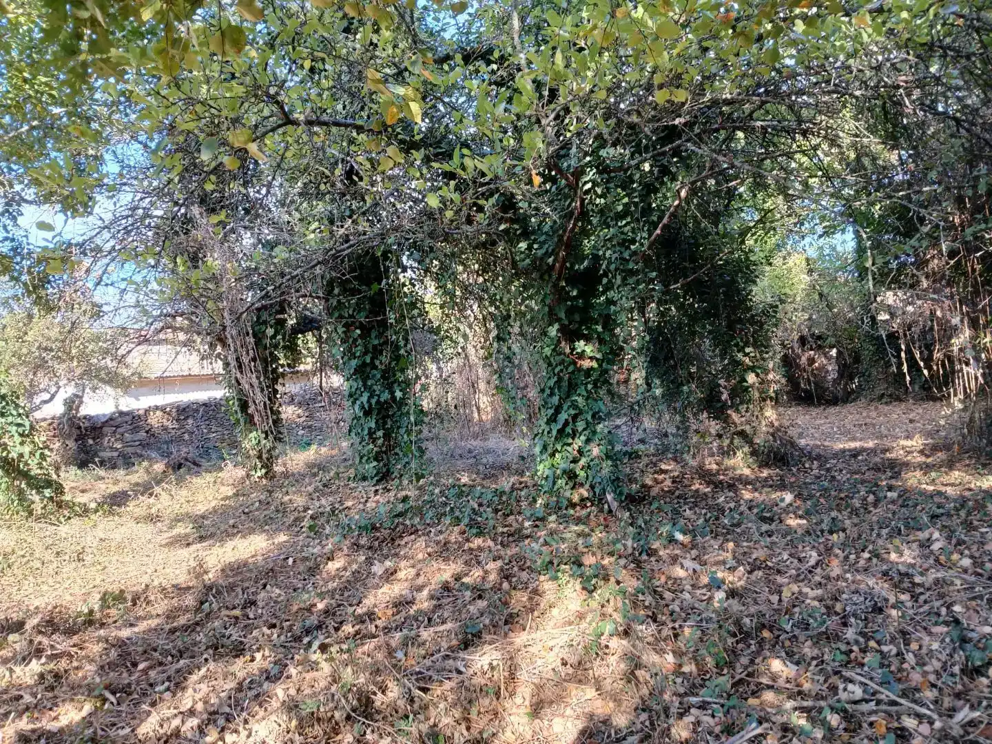 Casa o chalet en venta en Castrelo do Val con Jardín privado, Trastero y Amueblado