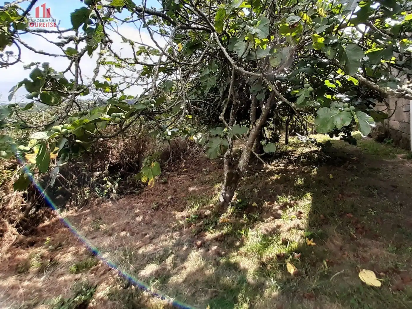 Casa en venda a O Pereiro de Aguiar, imagen 6
