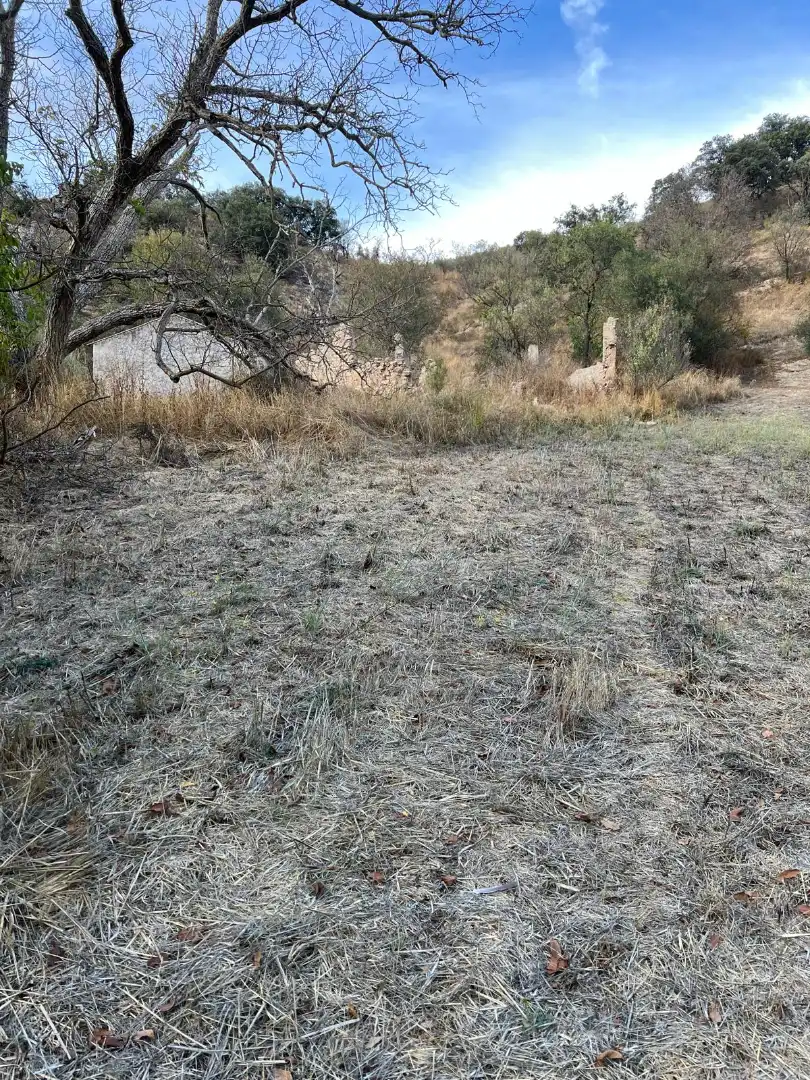Terreny rústic en venda a Almedinilla, imagen 5