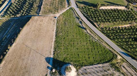 Foto 4 von Grundstücke zum Verkauf in Les Borges Blanques, Lleida
