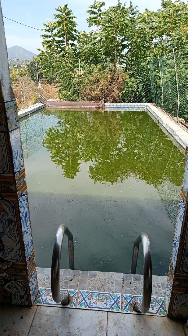 Piscina de Finca rústica en venta en Betxí con Terraza y Piscina