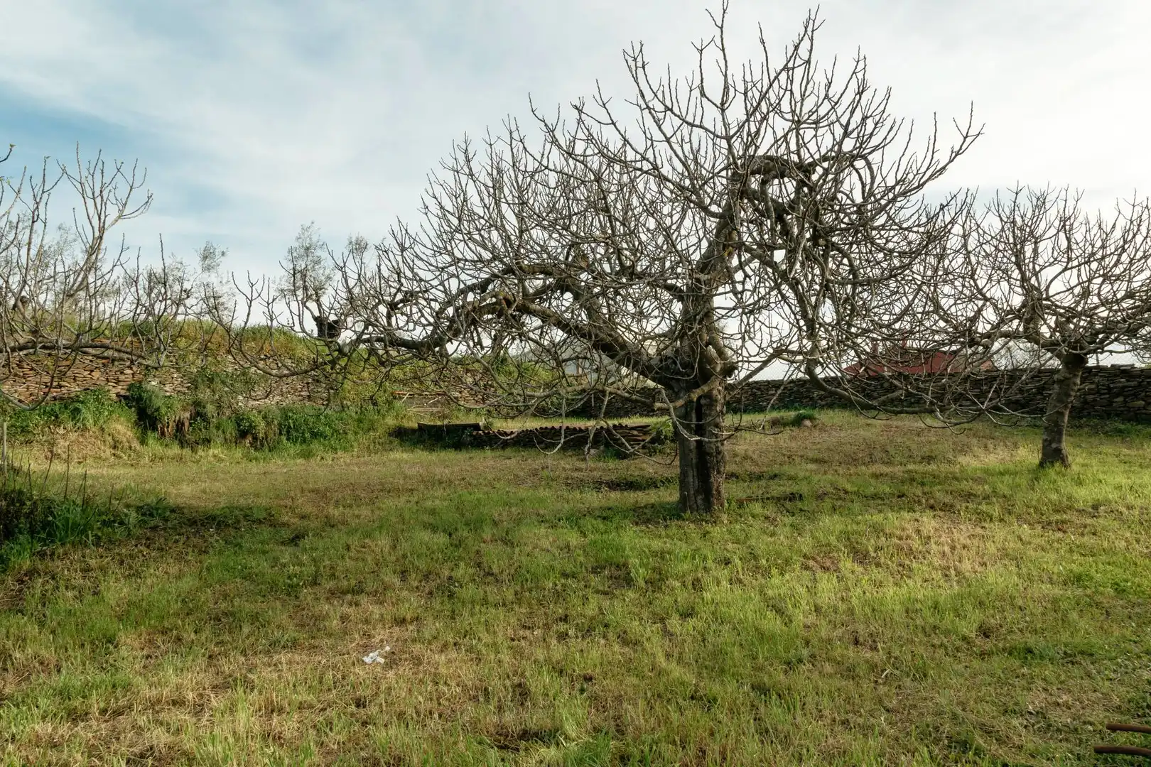 Terreni e lotti in vendita a Calle Pozo Nuevo 3, imagen 2