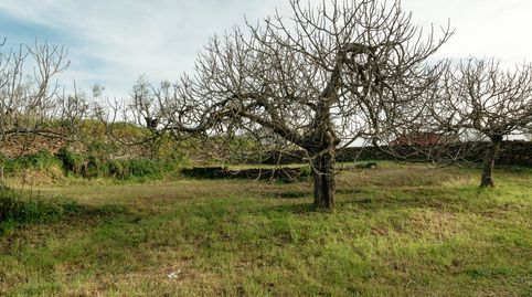 Venta de parcela en Ahigal, immagine 2