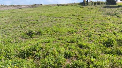 Foto 5 de Residencial en venta en Avenida de Castilla y León, 33, Renedo de Esgueva, Valladolid