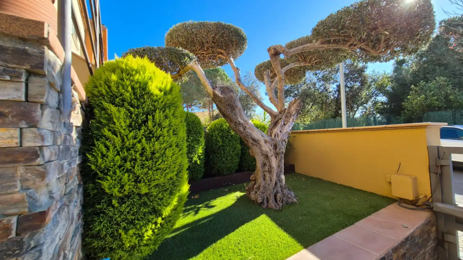 Jardí de Casa o xalet en venda en Palafrugell amb Aire condicionat, Calefacció i Jardí privat