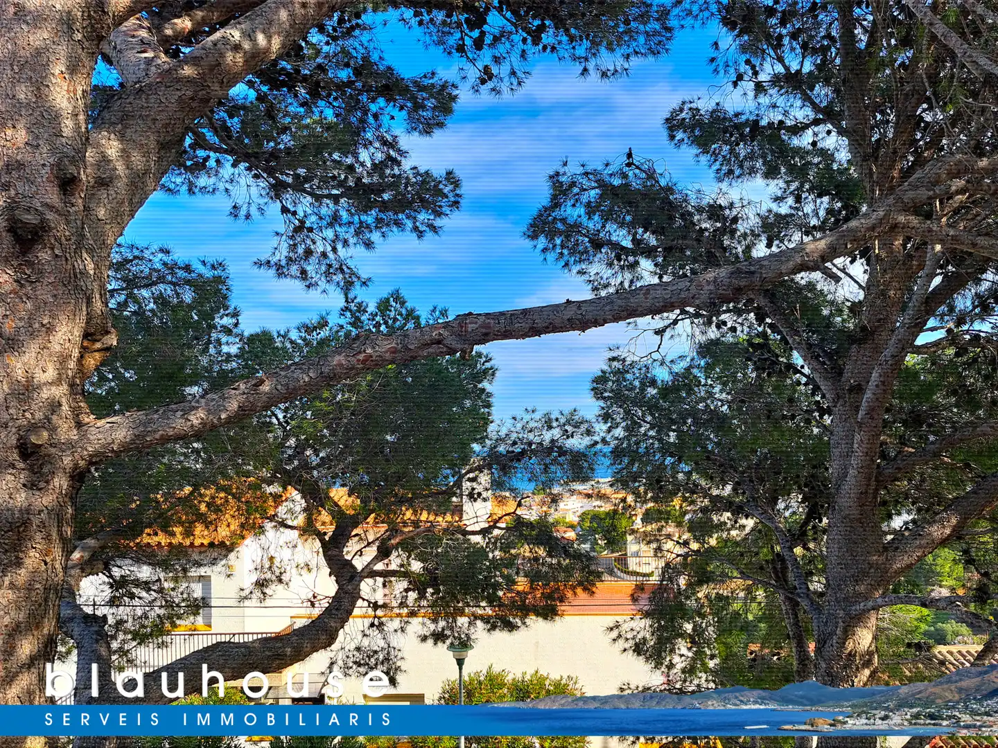 Casa con terraza en venta en El Colomer - La Bateria - La Coma, imagen 44