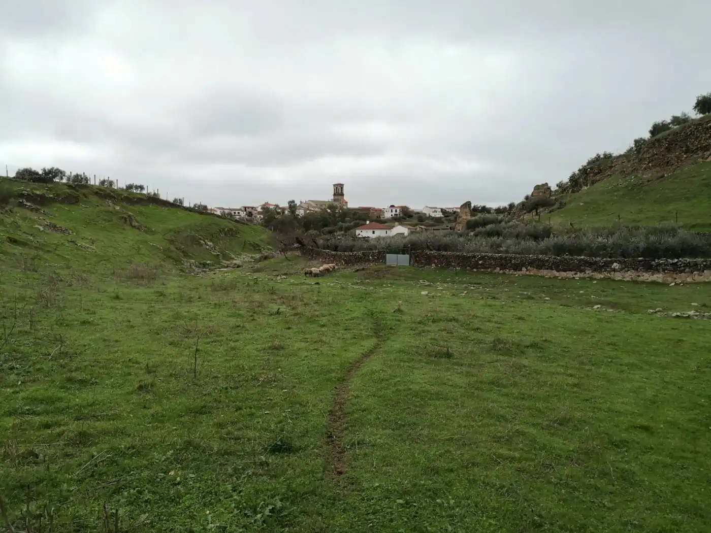 Finca rústica en venta en Belalcázar
