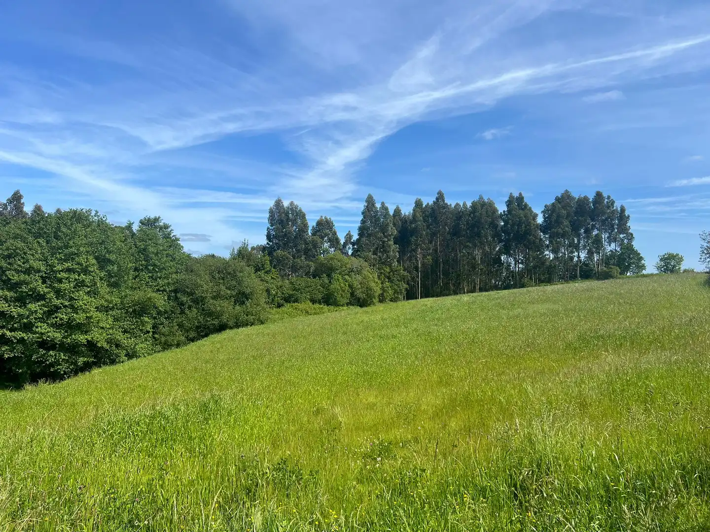 Terreno residenziale in vendita a Miño, imagen 7
