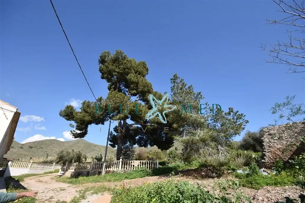 Terreni e lotti in vendita a Pedanías Oeste, imagen 5