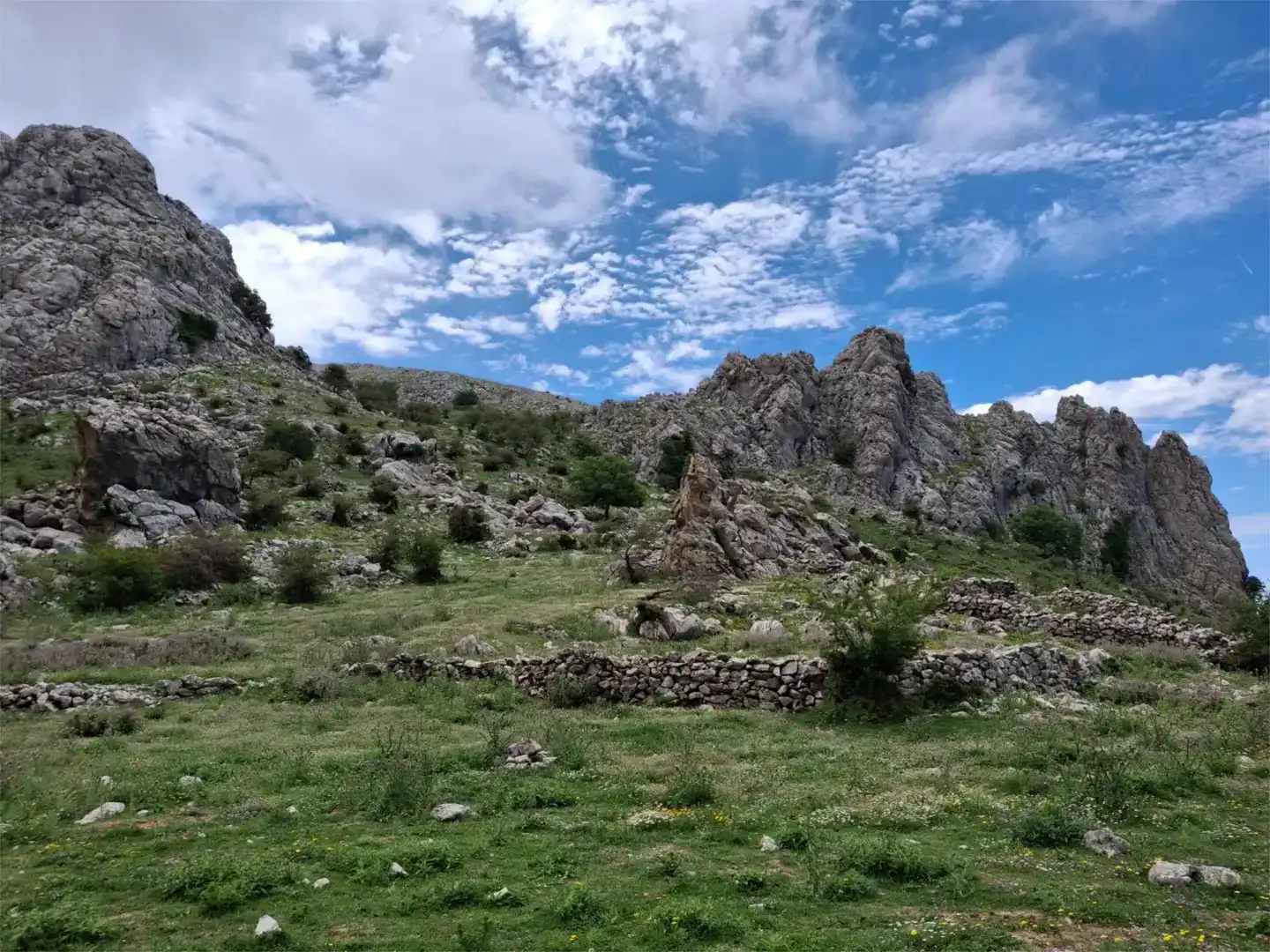 Finca rústica en venda en Alfarnate