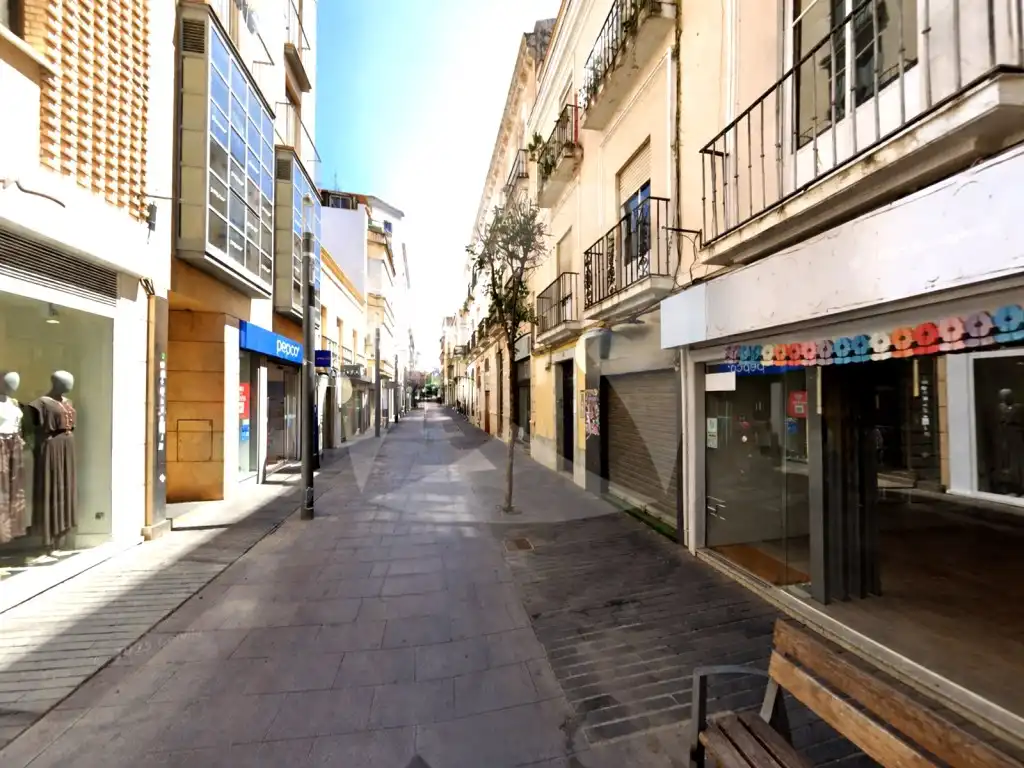 Immobles singulars en venda a Calle Menacho