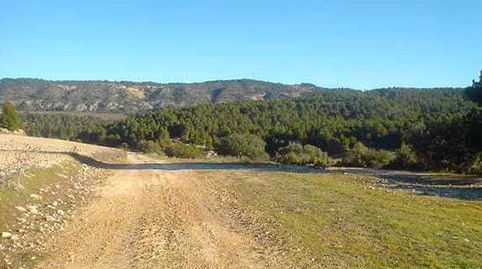 FINCA LABOR SECANO, imagen 2