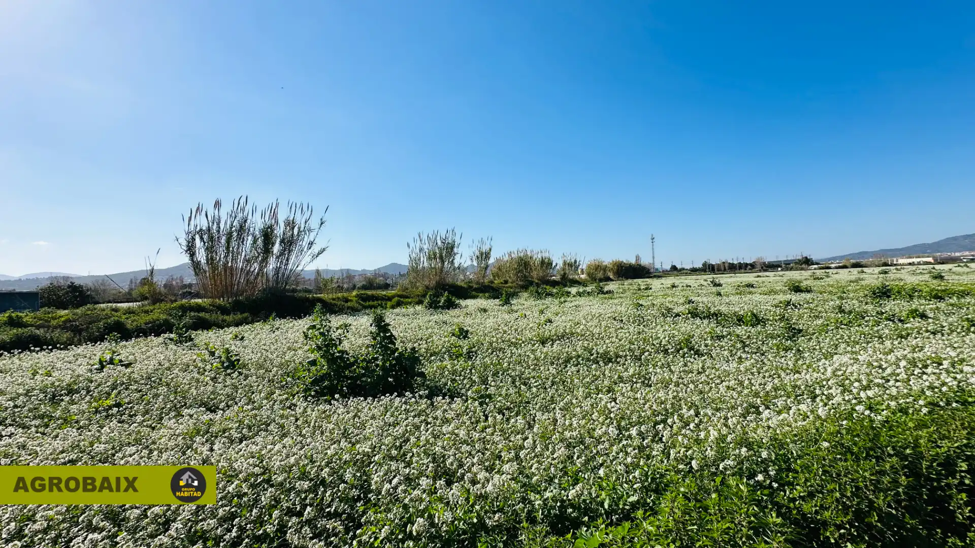 Rural land for sale in Vinyets - Molí Vell, imagen 20