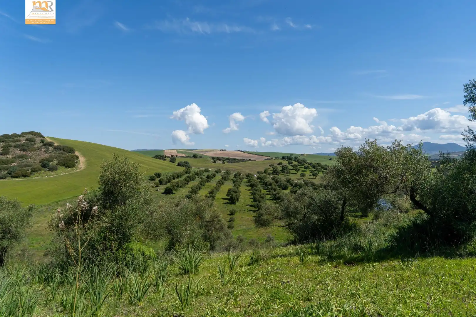 Finca rústica en venta en Prado del Rey