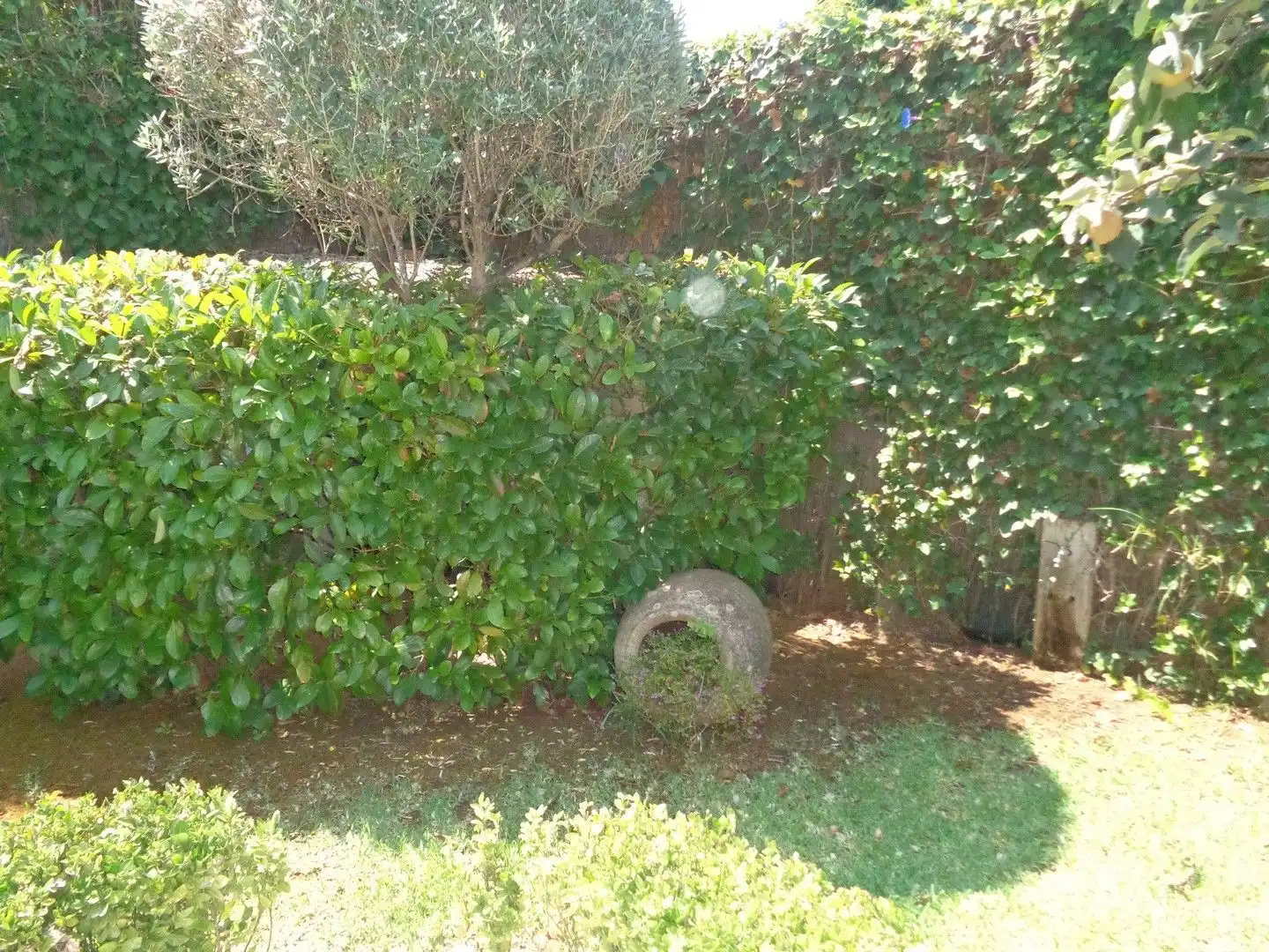 Jardí de Casa o xalet en venda en Jávea / Xàbia amb Aire condicionat, Calefacció i Jardí privat
