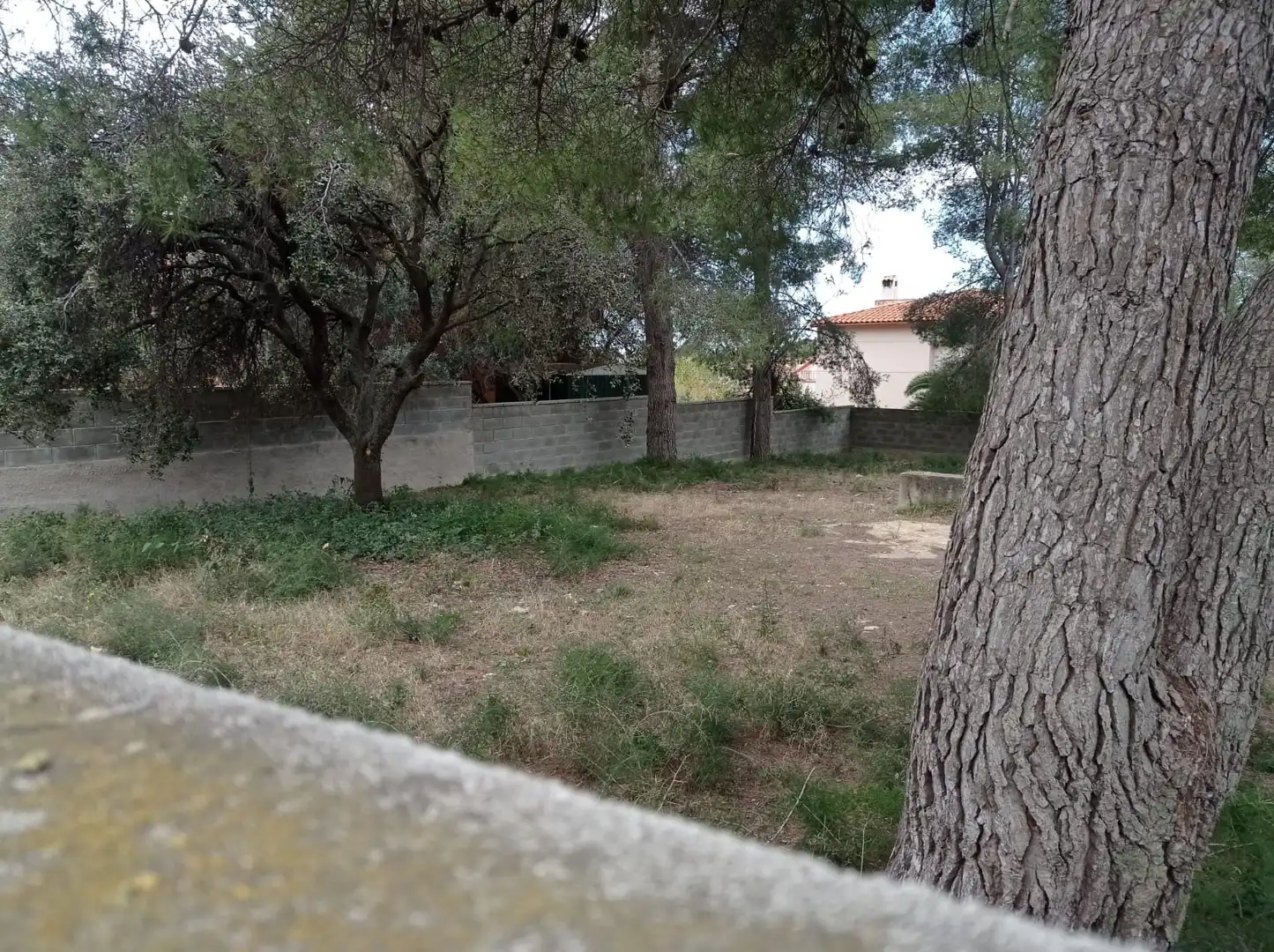 Terreno residencial en venta en El Catllar, imagen 11