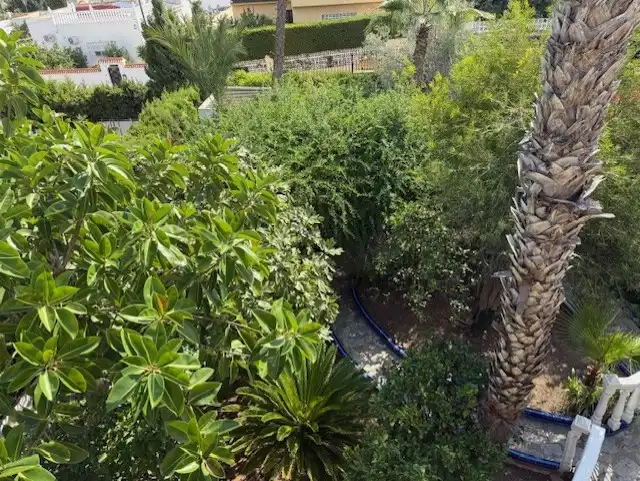 Villa avec terrasse à vendre à Calle Asturias Bal, imagen 24