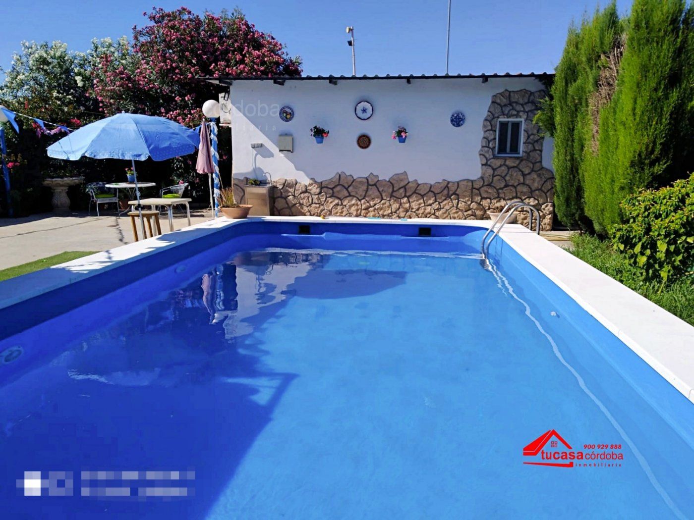 Swimming pool of House or chalet for sale in  Córdoba Capital  with Terrace and Swimming Pool