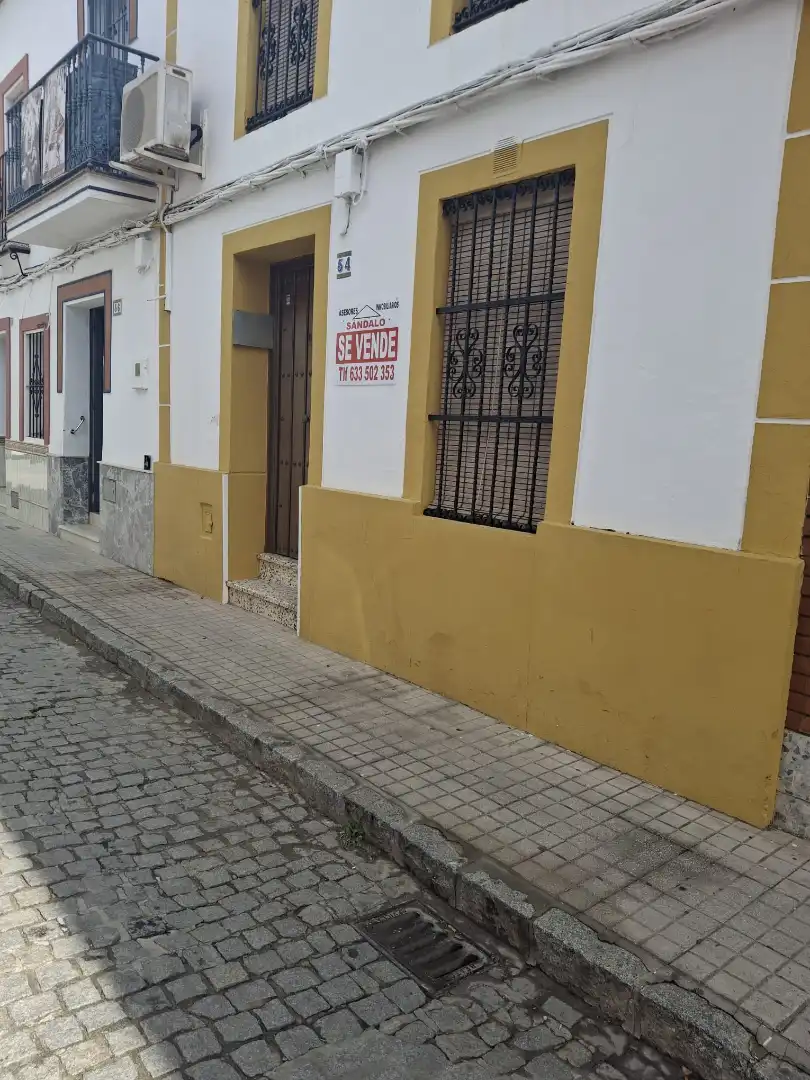 House for sale in Calle Polvillo 54, imagen 3